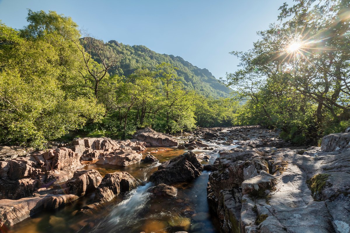 River Nevis and riparian habitat in summer, Glen Nevis, Lochaber, Scotland, June 2023