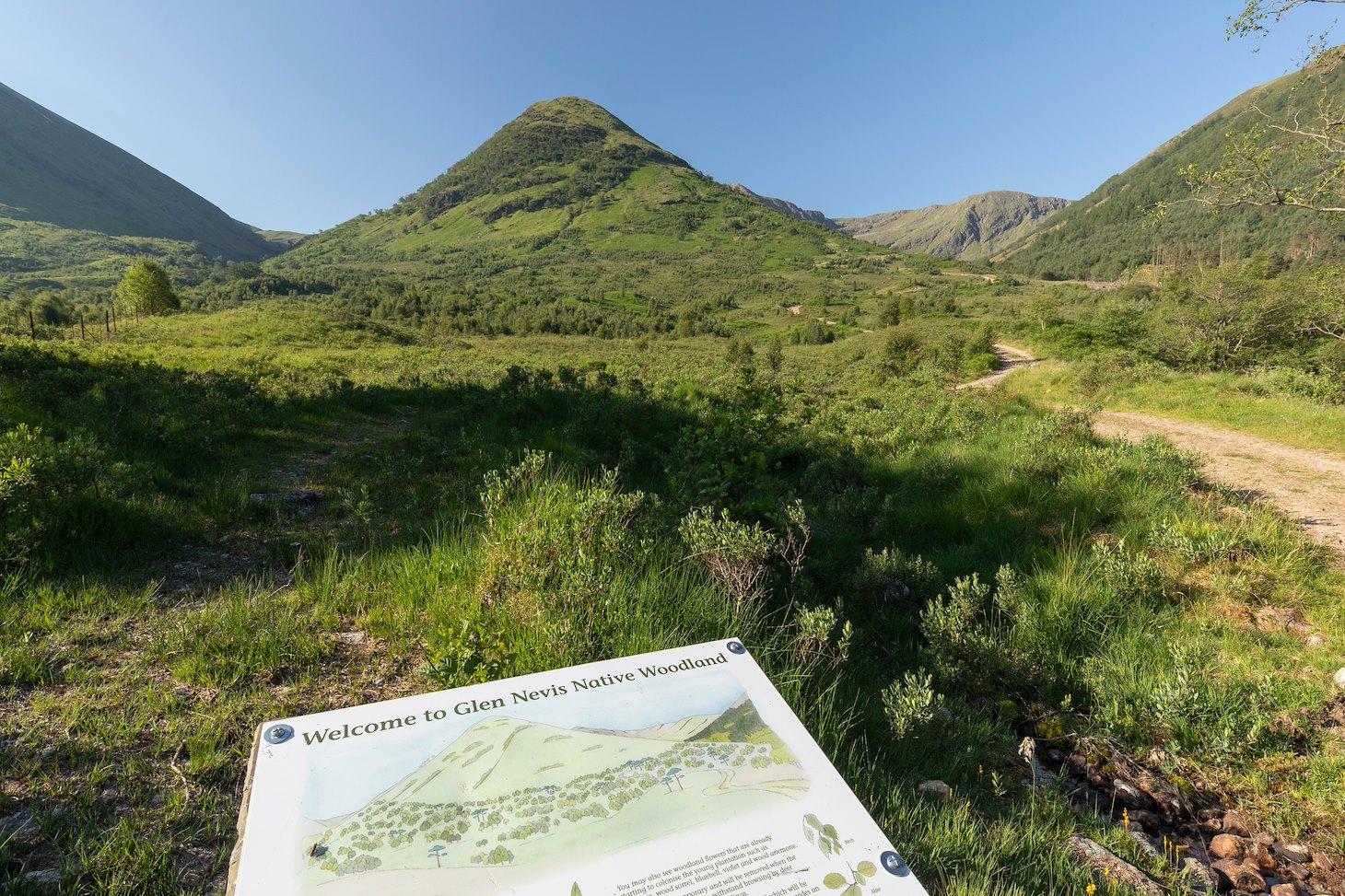 Interpretation board, Glen Nevis Woodland and Habitat Resoration Area, Glen Nevis, Lochaber, Scotland, June 2023