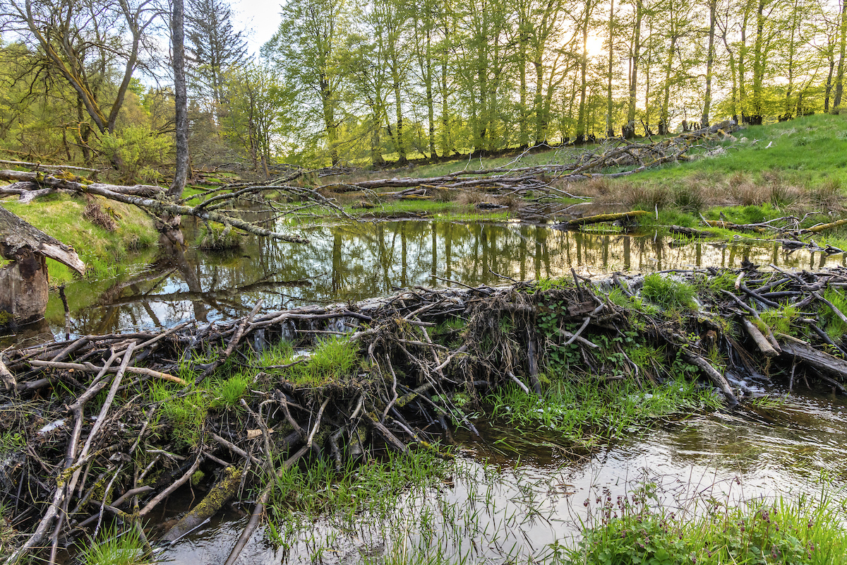 Mitigation scheme