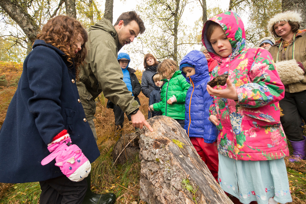 Beaver education